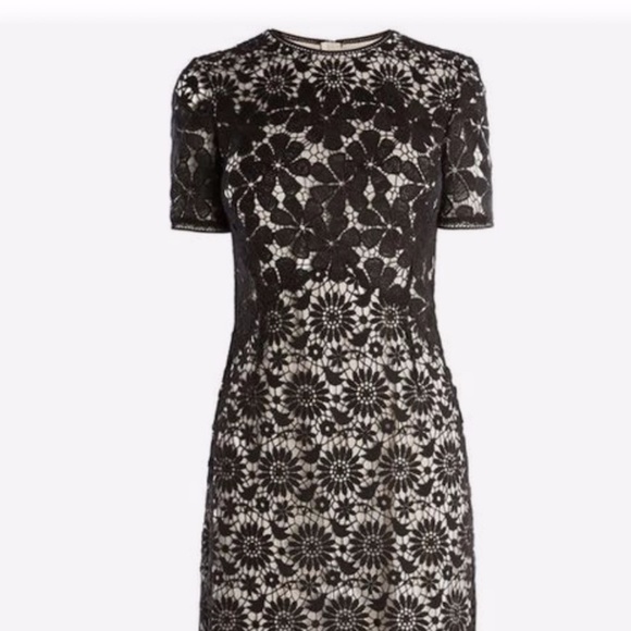 Short Sleeve Black Lace Karen Millen dress size 8 US - Picture 1 of 12